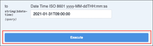 Screenshot showing the location of the Execute button.